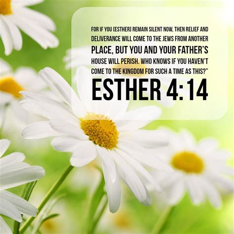 Esther 4:14 Wallpapers - Wallpaper Cave