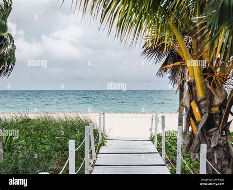 Beautiful photos of deserted beaches and palm trees Stock Photo - Alamy