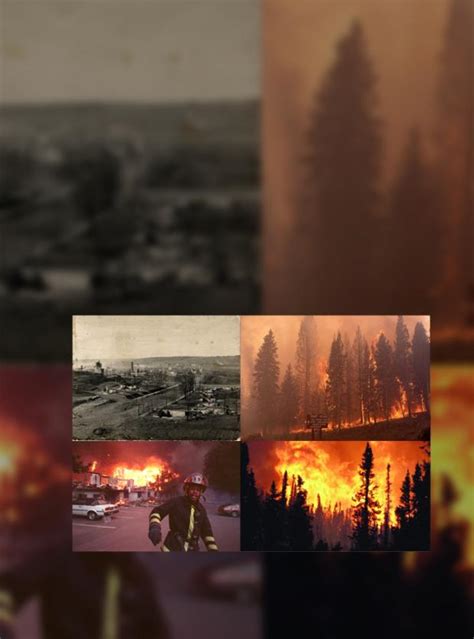 9 Most Horrific Wildfires in the US history