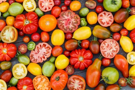 10 Common Tomato Plant Problems and How To Fix Them - Farmers' Almanac