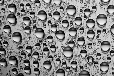 Black and White Water Drops Stock Photo - Image of drips, grey: 1856190