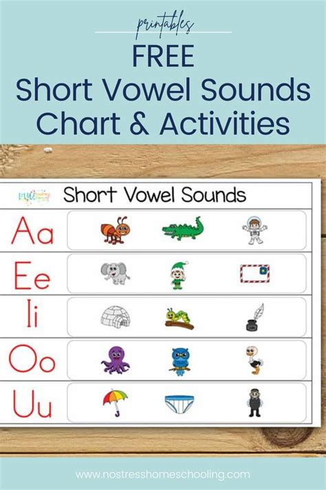 Vowels Long And Short Vowels Chart And Learning Videos Vowel Lessons ...