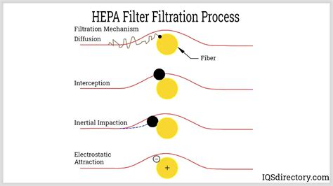 Hepa Vacuum Cleaner: Components, Maintenance & Regulations