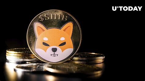 136.86 Billion SHIB Grabbed by Fresh Wallet as Price Burns Zero