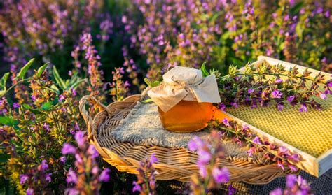 What Is Sage Honey? | How It's Produced & Benefits