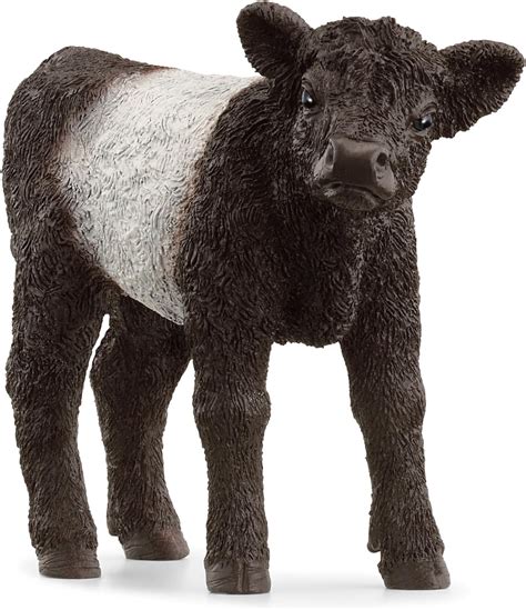 Amazon.com: Schleich Farm World New 2024 Farm Animal Toy Galloway Calf ...