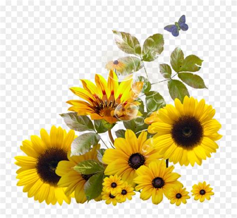 Sunflower Corner Border Clipart Download - Sunflower - Free Transparent PNG Clipart Images Download