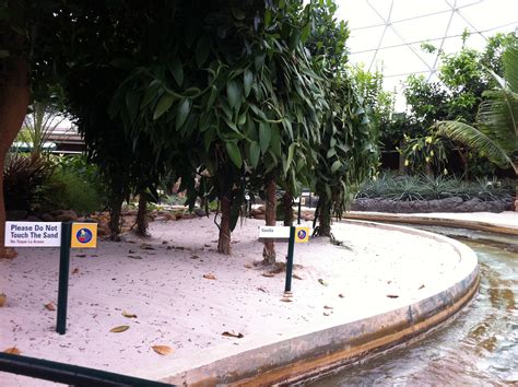 Disney's Living with the Land Epcot Greenhouse Can Grow 35,000 Tomatoes ...