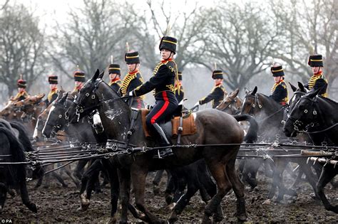 The Kings Troop Royal Horse Artillery inspected in Woolwich Park | Daily Mail Online