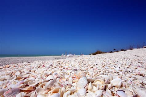 Shelling - Island Inn Sanibel