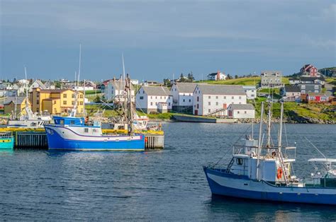 Twillingate, Newfoundland fishing village. Boats tied up in low tide, in for the day, bright ...