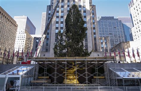 Rockefeller Center Christmas tree goes up; lighting Dec. 2 | WNCT