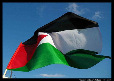 Palestinian Flag Wallpaper - WallpaperSafari