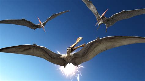 Primeval vs WWD - Ornithocheirus vs Pteranodon 02 by DracoKhajiit on ...