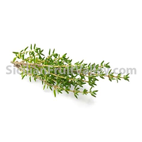 Thyme – Leaves (Per Pot) – Sicilian Fruit Valley Online Ordering