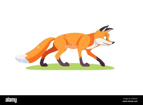 Cute cartoon Fox on the hunt. Side view. Vector illustration isolated ...