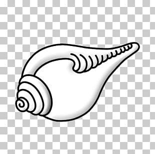 Shankha PNG Images, Shankha Clipart Free Download