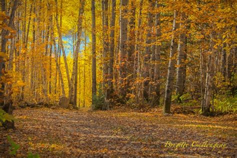 Photos: Fall colours on display across Canada | CTV News