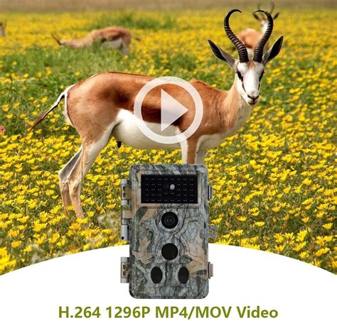 24MP Trail Hunting Camera Night Vision 1296P Motion Activated Camera Outdoor | eBay