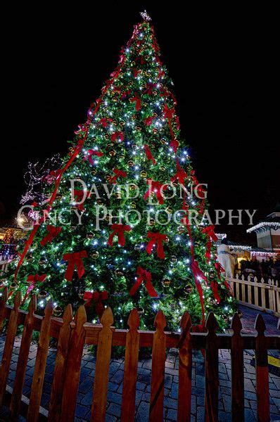 Cincinnati Zoo Festival of Lights Photos | Festival lights, Cincinnati zoo, Lights