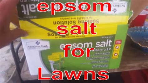 Epsom Salt For My Crappy Lawn!!! Summer Lawn Care Tip Improve soil quality, and get greener ...