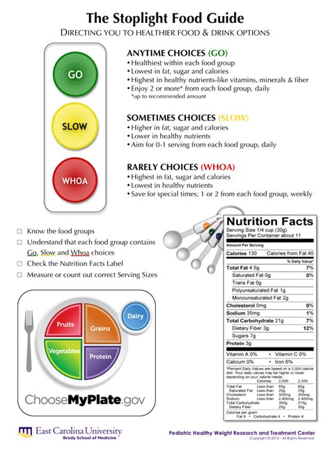 Traffic Light Food Worksheet | Shelly Lighting