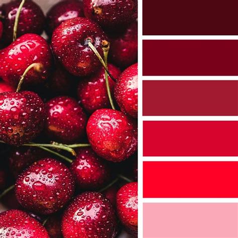 HugeDomains.com | Red colour palette, Red color schemes, Cherry red color