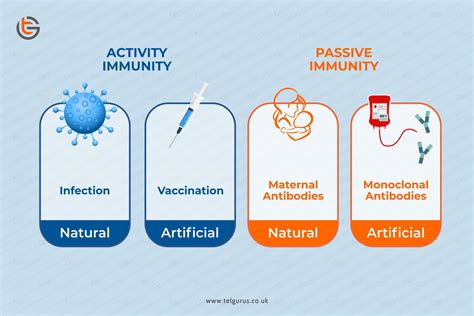 What is the difference between passive and active immunity?