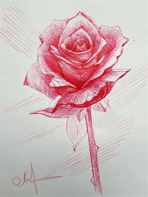 Rose red pen drawing Drawing by Tigran Movsisyan | Saatchi Art