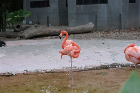 ZOO Culiacán on Behance