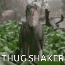 Thug Shaker Thug Hunter GIF - Thug Shaker Thug Hunter Thug Hunters - Discover & Share GIFs