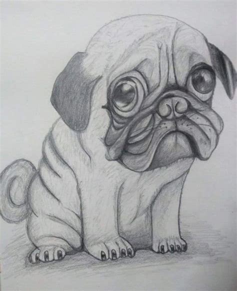 Easy Pencil Drawings Of Cute Animals