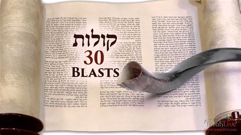 Understanding the Shofar Blasts on Rosh Hashanah - YouTube