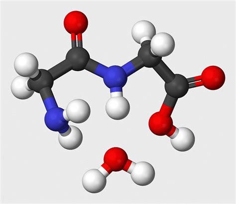 Trimesic Acid, huy, Peptide bond, condensation Reaction, organic Synthesis, sulfuric Acid ...