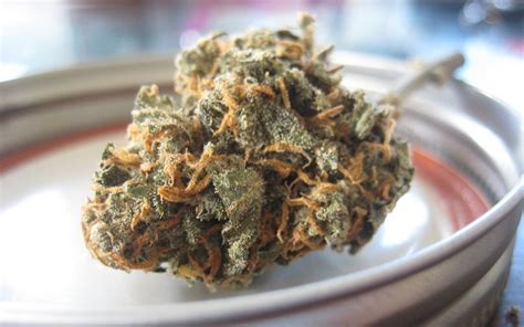 Orange Kush - The Hybrid Strain That Works as a Powerful Relaxant