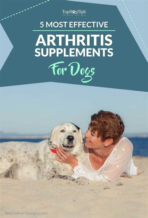 The Best Dog Arthritis Supplements for Joints & Hip Care | Dog ...