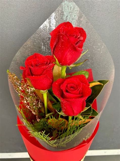 3 Red Rose Bouquet | Cairns Florist