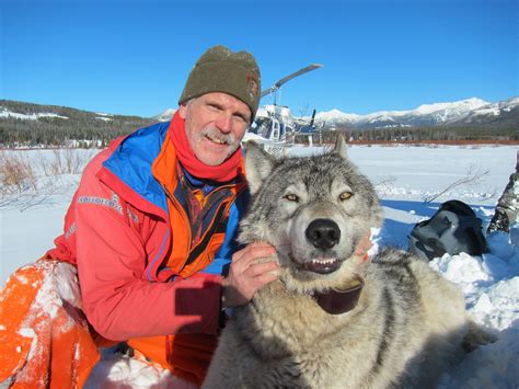 The Yellowstone Wolf Story - From Reintroduction to the Present with Doug Smith - Community Library