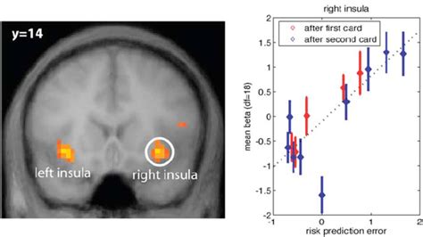 Frontiers | Formalizing the Function of Anterior Insula in Rapid ...