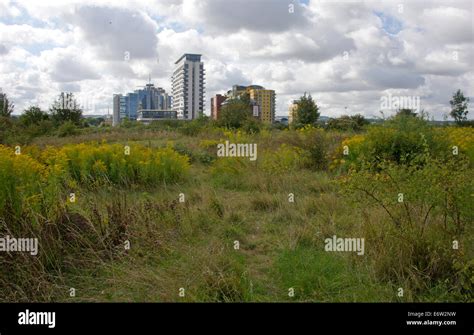 Basingstoke hampshire hi-res stock photography and images - Alamy