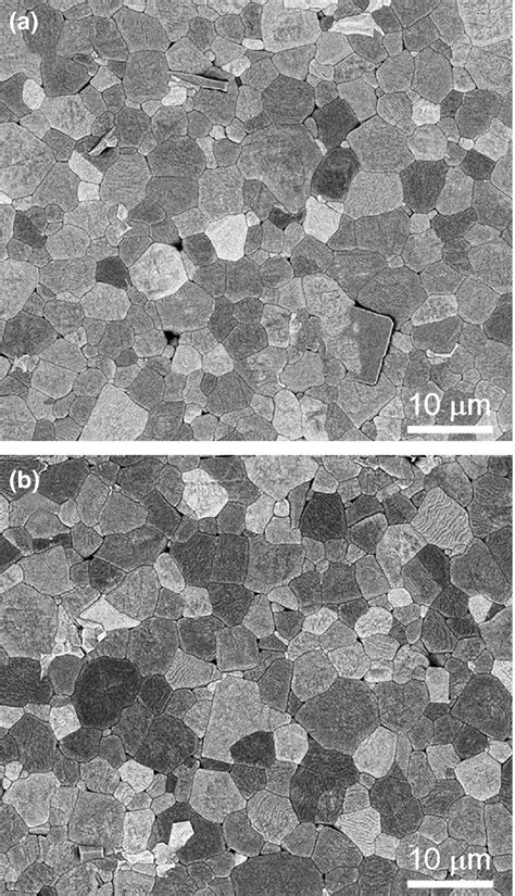 Microstructure of (a) ceramics sintered at 1360°C for 1 h in moist 1 ...