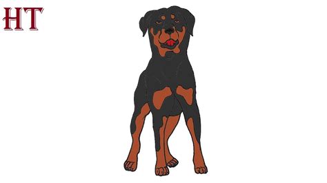 How to draw a Rottweiler Dog easy Step by Step - YouTube