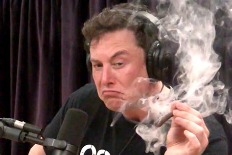 Watch Elon Musk Smoke a Blunt With Joe Rogan - SPIN