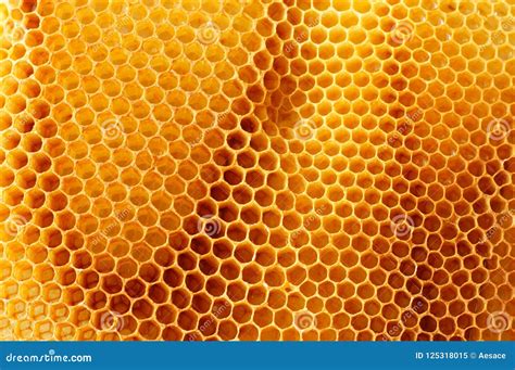 Golden honeycomb hexagons stock image. Image of healthy - 125318015