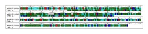 Alignment of FASTA sequence of 5-HT2A receptor with template 2RH1. | Download Scientific Diagram