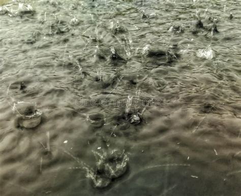 Raindrops Splashing in a Puddle Stock Photo - Image of abstract ...