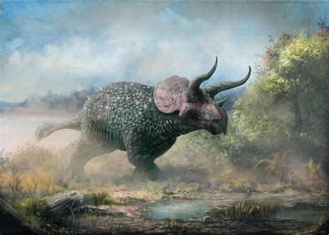 Triceratops Facts, Worksheets, Habitat, Diet, Size & Extinction For Kids