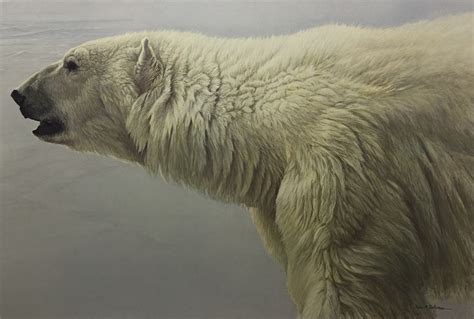 Art Country Canada - ROBERT BATEMAN Polar Bear Profile Limited edition ...