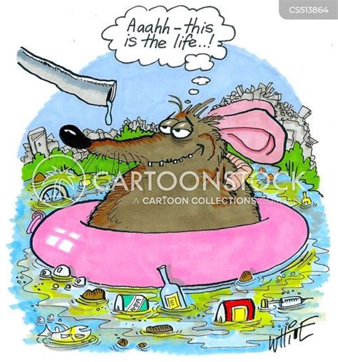 No 6 Drowned Rat Clipart