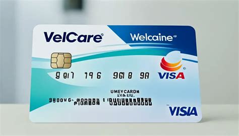 Wellcare Flex Card 2024 - Kata Sarina